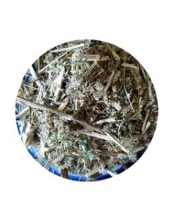 Boneset Cut