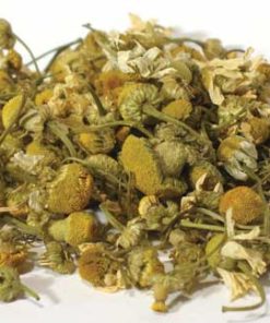 chamomile