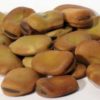 Mojo Wish Bean 2oz (vicia Faba)