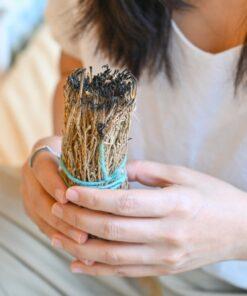 Smudging Rituals
