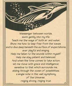Dolphin Poster