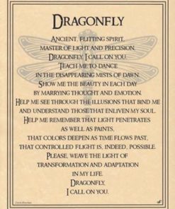 Dragonfly Poster