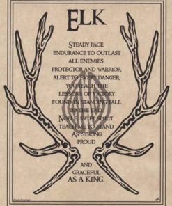 Elk Prayer Poster