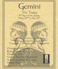 Gemini Zodiac Poster