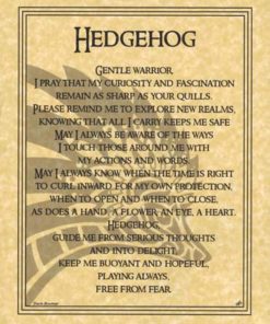 Hedgehog Prayer Poster