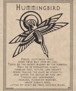 Hummingbird Prayer Poster