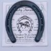 new horse shoe